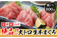 【定期便2回】冷蔵でお届け！大満足！生本マグロ 大トロ（柵どり） 800g × 2回お届け （毎月お届け）
