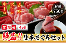 【定期便6回】冷蔵でお届け！人気の生本マグロ 堪能セット（柵どり） 計 750g × 6回お届け （毎月お届け）
