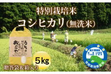【令和5年度産】特別栽培米コシヒカリ（無洗米）５㎏　ご贈答袋＆箱入り