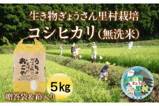 【令和5年度産】生き物ぎょうさん里村栽培コシヒカリ（無洗米）5㎏ ご贈答袋＆箱入り
