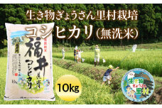 先行予約【令和6年度産】生き物ぎょうさん里村栽培 コシヒカリ（無洗米）10㎏ ビニール袋入り