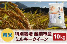 【令和6年度新米 精米】特別栽培 越前市産ミルキークイーン 10kg