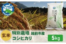 【令和6年度新米 玄米】特別栽培 越前市産コシヒカリ 5kg