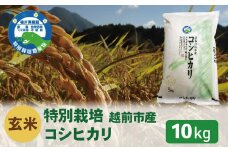 【令和6年度新米 玄米】特別栽培 越前市産コシヒカリ 10kg