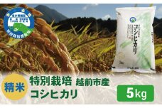【令和6年度新米 精米】特別栽培 越前市産コシヒカリ 5kg
