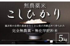 〈令和6年産〉無農薬米5㎏【こしひかり】白米