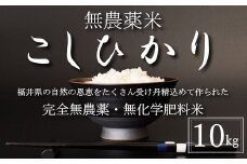 〈令和6年産〉無農薬米10㎏（5㎏×2）【こしひかり】玄米
