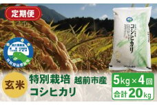 【定期便4回】（令和6年度新米 玄米）特別栽培 越前市産コシヒカリ 5kg×4回