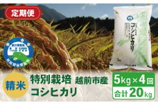 【定期便4回】（令和6年度新米 精米）特別栽培 越前市産コシヒカリ 5kg×4回