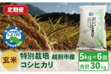 【定期便6回】（令和6年度新米 玄米）特別栽培 越前市産コシヒカリ 5kg×6回