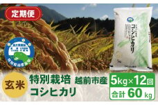 【定期便12回】（令和6年度新米 玄米）特別栽培 越前市産コシヒカリ 5kg×12回