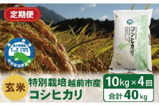 【定期便4回】（令和6年度新米 玄米）特別栽培 越前市産コシヒカリ  10kg×4回