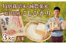 〈先行予約・新米〉減農薬米 こしひかり 3kg ／令和6年福井県産 （玄米）2024年10月発送 人気品種 少量サイズ便利