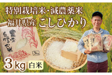 〈先行予約・新米〉減農薬米 こしひかり 3kg ／令和6年福井県産 （白米）2024年10月発送 人気品種 少量サイズ便利