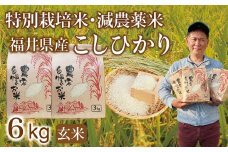 〈先行予約・新米〉減農薬米 こしひかり 6kg(3kg×2袋) ／令和7年 福井県産 （玄米）2025年10月発送 人気品種 少量サイズ便利