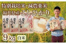 〈先行予約・新米〉減農薬米 こしひかり 9kg(3kg×3袋）／令和7年 福井県産 （白米）2025年12月発送 人気品種 少量サイズ便利