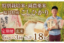 〈先行予約・新米〉【定期便３回】減農薬米 こしひかり 6kg(3kg×2袋)／令和7年 福井県産 （玄米）人気品種　少量サイズ便利