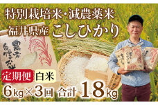 〈先行予約・新米〉【定期便３回】減農薬米 こしひかり  6kg(3kg×2袋)／令和7年 福井県産 （白米）2025年10月発送 人気品種 少量サイズ便利