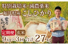 〈先行予約・新米〉【定期便３回】減農薬米 こしひかり 9kg(3kg×3袋) ／令和7年福井県産 （玄米）2025年10月発送 人気品種 少量サイズ便利