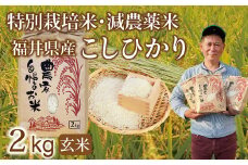 〈先行予約・新米〉減農薬米 こしひかり 2kg ／令和6年福井県産（玄米）2024年10月発送 人気品種 少量サイズ便利