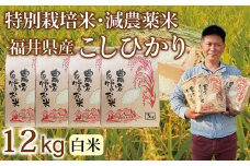 〈先行予約・新米〉減農薬米 こしひかり 12kg（3kg×４袋）／令和7年 福井県産 （白米）2025年10月発送 人気品種 少量サイズ便利