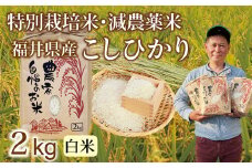 〈先行予約・新米〉減農薬米 こしひかり 2kg ／令和6年福井県産（白米）2024年10月発送 人気品種 少量サイズ便利
