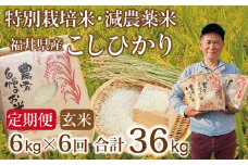 〈先行予約・新米〉【定期便６回】減農薬米 こしひかり 6kg(3kg×2袋) ／令和7年 福井県産 （玄米）2025年10月発送 人気品種 少量サイズ便利