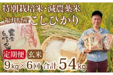 〈先行予約・新米〉【定期便６回】減農薬米 こしひかり 9kg(3kg×3袋) ／令和6年 福井県産 （玄米）2024年10月発送 人気品種 少量サイズ便利