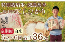 〈先行予約・新米〉【定期便６回】減農薬米 こしひかり 6kg(3kg×2袋) ／令和7年 福井県産 （白米）2025年10月発送 人気品種 少量サイズ便利