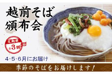 【3回定期便：2025年4月スタート】毎月季節の「越前そば」が届くお楽しみ頒布会（創業90余年の武生製麺）