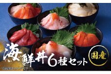 【純国産】数量限定！海鮮丼の具の贅沢６種類セット