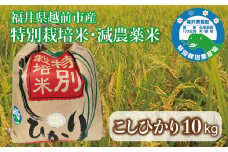 令和6年度産 10kg コシヒカリ福井県越前市産 （福井県特別栽培米）