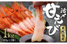 【福井県産】鮮度抜群の大きい甘エビ1kg 小分け（総重量1.2kg） ※無添加 天然 甘えび真空パック済 