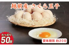 【お届け日指定可】越前産 さくら玉子 50個（45個＋割れ補償5個入り）【冷蔵・卵】