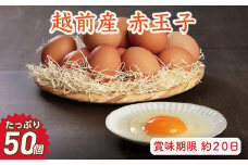 【お届け日指定可】越前産 赤玉子 50個（45個＋割れ補償5個入り） 【冷蔵・卵】