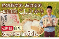 〈先行予約・新米〉【定期便９回】減農薬米 こしひかり 6kg(3kg×2袋) ／令和7年 福井県産 （白米）2025年10月発送 人気品種 少量サイズ便利