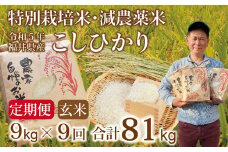 〈新米〉【定期便９回】減農薬米 こしひかり 9kg(3kg×3袋) ／令和5年福井県産 （玄米）2023年10月発送 人気品種 少量サイズ便利