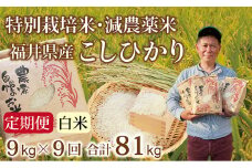 〈先行予約・新米〉【定期便９回】減農薬米 こしひかり 9kg(3kg×3袋) ／令和7年福井県産 （白米）2025年10月発送 人気品種 少量サイズ便利
