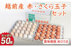 【お届け日指定可】越前産赤玉子・さくら玉子セット50個入り（45個+割れ補償5個入り）【冷蔵・卵】