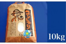 こしひかり 白米 ピロール健康米 10kg（福井県越前市産）