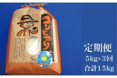 【定期便】こしひかり 白米 ピロール健康米 5kg×3回 合計15kg（福井県越前市産）