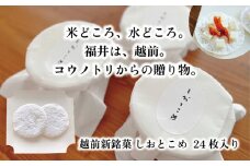 越前新銘菓 しおとこめ　24枚入り