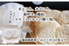 越前新銘菓 しおとこめ　48枚入り