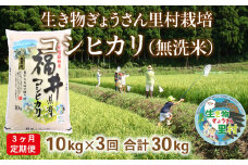 〈先行予約・令和６年度産〉【定期便3回】生き物ぎょうさん里村栽培　コシヒカリ（無洗米）10kg　ビニール袋入り