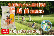 〈先行予約・令和６年度産〉【定期便3回】生き物ぎょうさん里村栽培　華越前（無洗米）10kg　ビニール袋入り