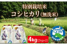 〈先行予約・令和６年度産〉越前産　特別栽培米　コシヒカリ　（無洗米）２㎏×2袋