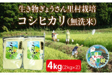 〈先行予約・令和６年度産〉生き物ぎょうさん里村栽培　コシヒカリ　（無洗米）２㎏×2袋