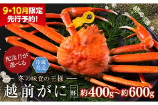【年内発送・指定日着可】越前がに（オス）「ずわいがに」（400g～600g） 1杯