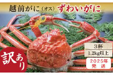 【2025年発送・指定日着可】越前がに（オス）「ずわいがに」特特大サイズ（1.2kg以上） 訳あり 3杯