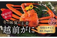 【2026年1月発送・月指定可】越前がに（オス）「ずわいがに」特特大サイズ（1.2kg以上） 訳あり 1杯